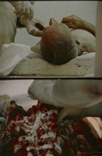 The Act of Seeing with One's Own Eyes (1972)
