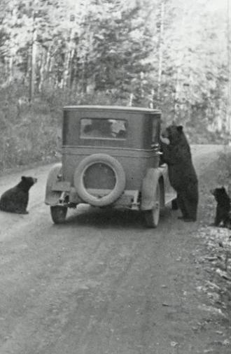 Through Mountain Gateways (1930)