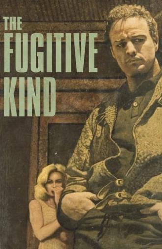 The Fugitive Kind (1960)