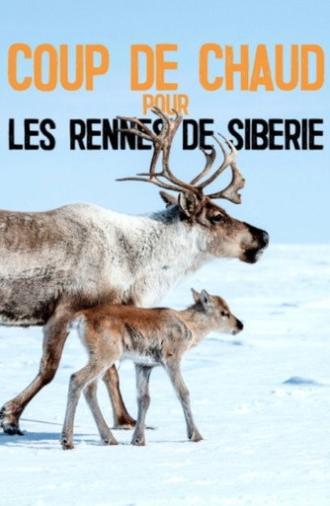 Heatstroke for the Siberian Reindeer (2020)