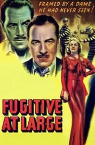 Fugitive at Large (1939)