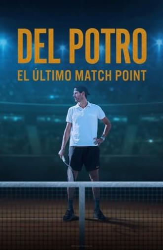 Del Potro, el último match point (2023)