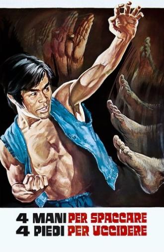 The Kung Fu Brothers (1973)