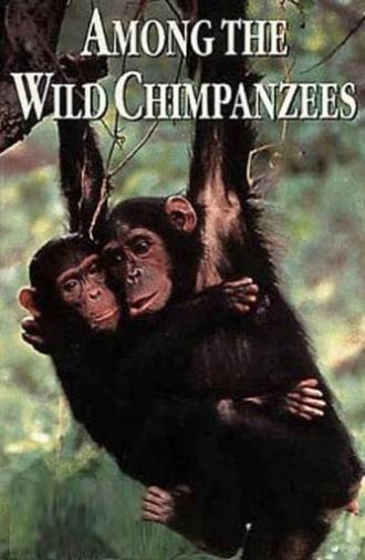 Among the Wild Chimpanzees (1984)