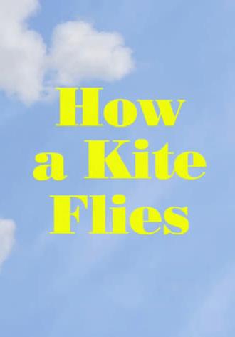 How a Kite Flies (2017)