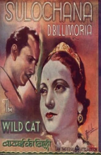 Wildcat of Bombay (1927)