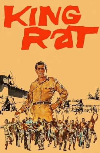 King Rat (1965)