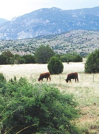 Whose Home on the Range? (2000)