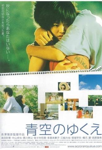 Way of Blue Sky (2005)