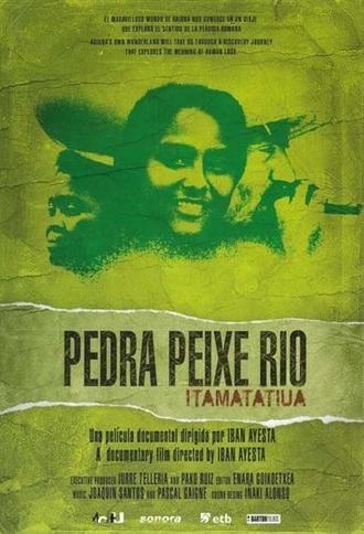 Stone, fish, river: Itamatatiua (2010)