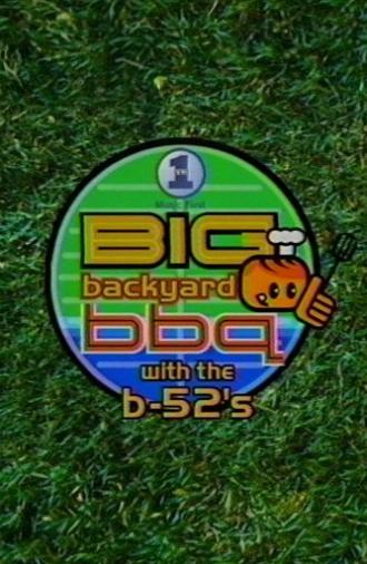 VH1 Big Backyard BBQ with the B52's (1998)