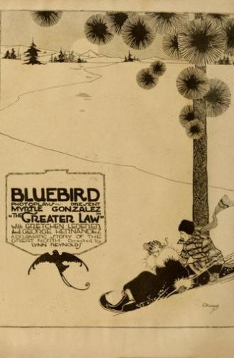 The Greater Law (1917)