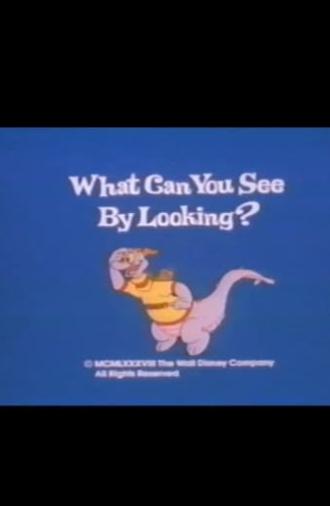 What Can You See by Looking? (1988)