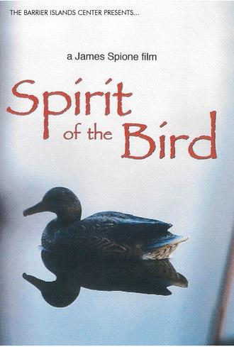 Spirit Of The Bird (2012)