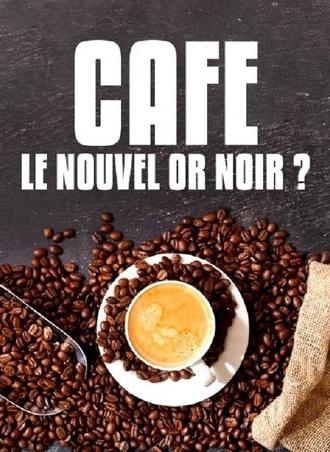 Café : le nouvel or noir? (2018)