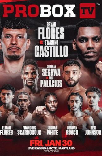 Bryan Flores vs. Starling Castillo (2026)