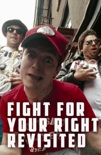 Fight for Your Right Revisited (2011)