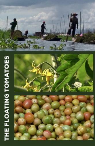 The Floating Tomatoes (2010)