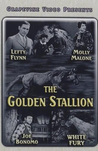 The Golden Stallion (1927)