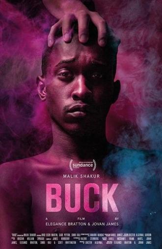 Buck (2020)