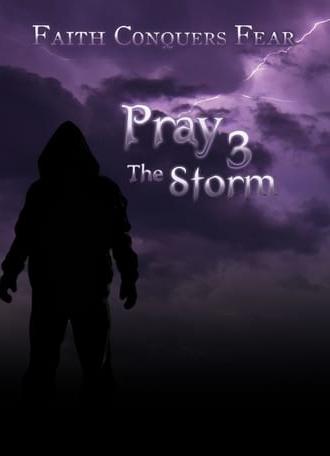 Pray 3D: The Storm (2012)