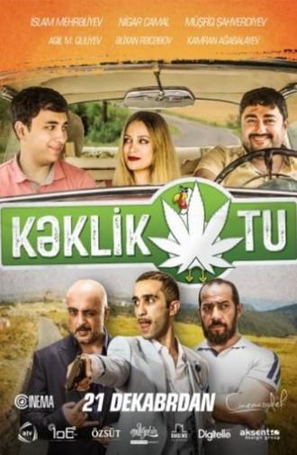 Kəklikotu (2017)