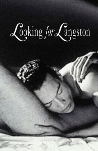 Looking for Langston (1989)