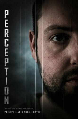 Perception (2026)