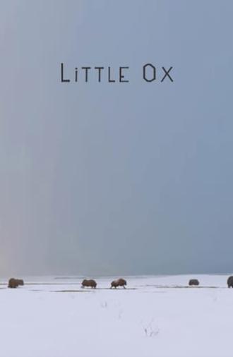 Little Ox (2021)