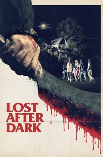 Lost After Dark (2014)