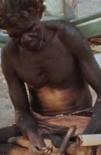 Narritjin at Djarrakpi (1981)