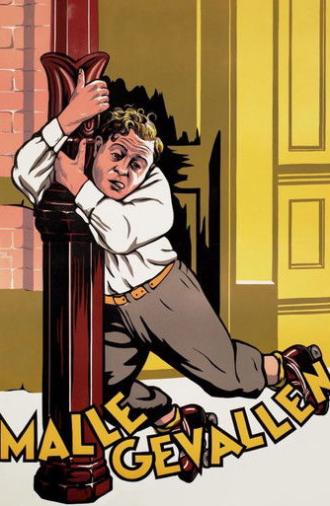 Malle gevallen (1934)