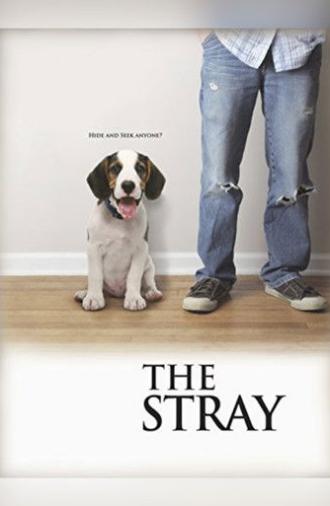 The Stray (2012)