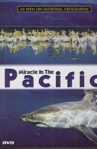 Miracle in the Pacific (2004)