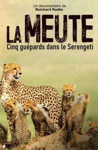 Die fünf Geparde - Gemeinsam durch die Serengeti (2019)