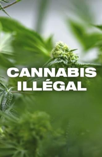 Cannabis illégal (2019)