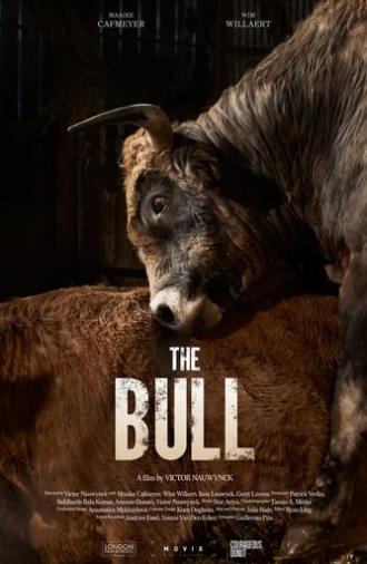 The Bull (2024)