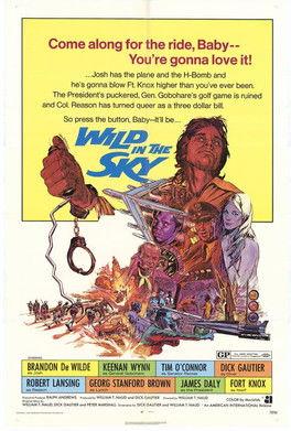 Wild in the Sky (1972)
