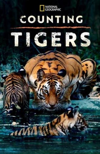 Counting Tigers (2019)