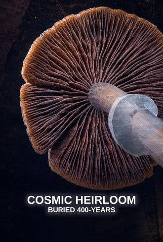 Cosmic Heirloom: Buried 400 Years (2026)