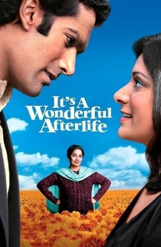 It's a Wonderful Afterlife (2010)