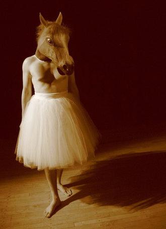 Figs in Motion (2010)