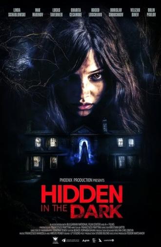 Hidden in the Dark (2025)