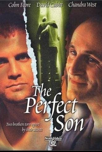 The Perfect Son (2000)