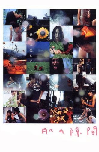 A Gap in the Skin (2005)