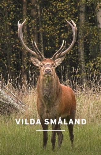 Småland - Sweden's Wild South (2024)