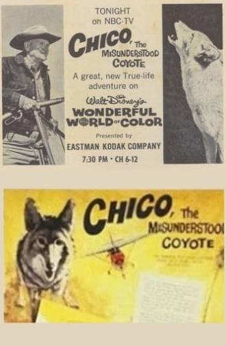 Chico, the Misunderstood Coyote (1961)