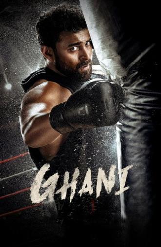 Ghani (2022)