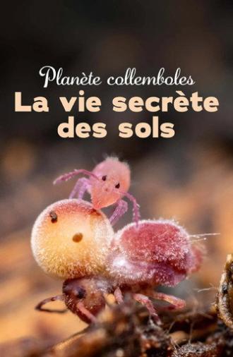 Springtails: The hidden soldiers of Earth (2024)