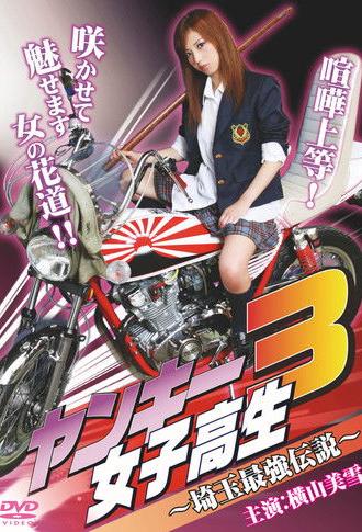 Yankee High School Girl 3 ~Saitama's Greatest Legend~ (2010)